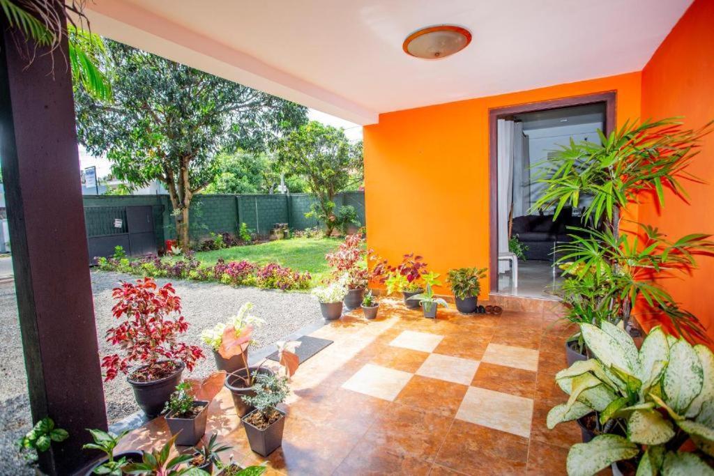 Hotel Blue Bird Negombo Eksteriør billede