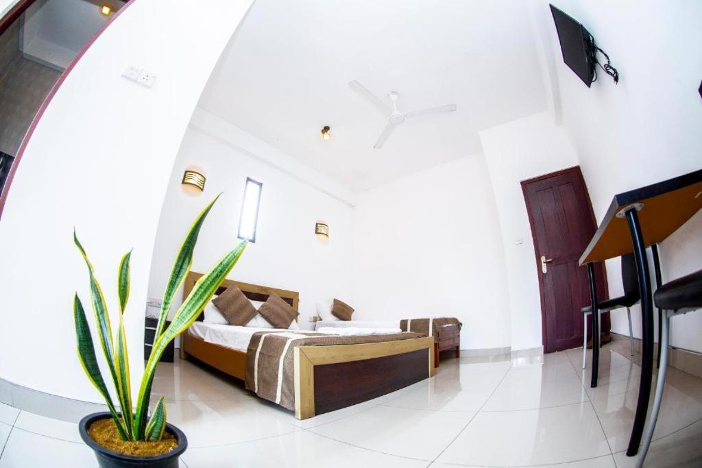 Hotel Blue Bird Negombo Eksteriør billede